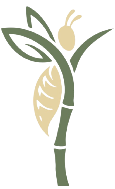BEEyond Trees Logo